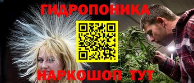 шишки Кинель