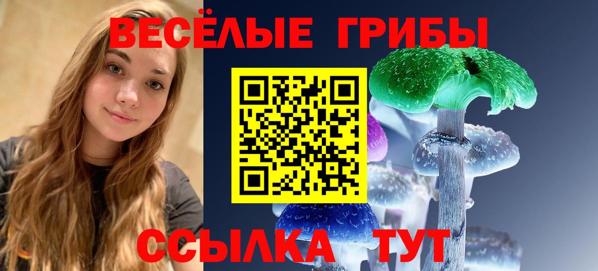 Псилоцибиновые грибы MAGIC MUSHROOMS Котельники