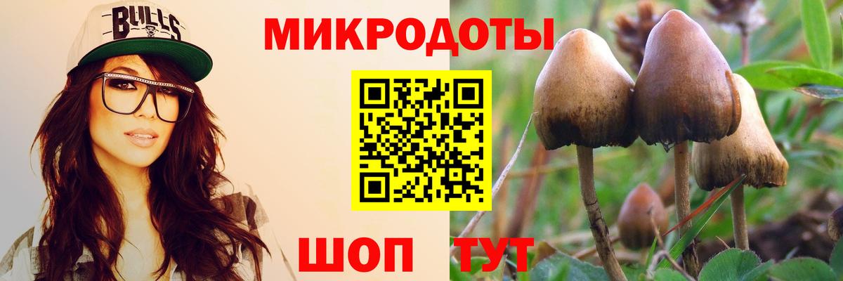 Котельники  Галлюциногенные грибы мухоморы  закладки  Псилоцибиновые грибы Psilocybe  Вход с VPN 